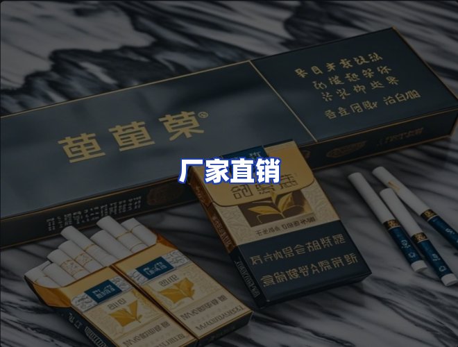 专业团队